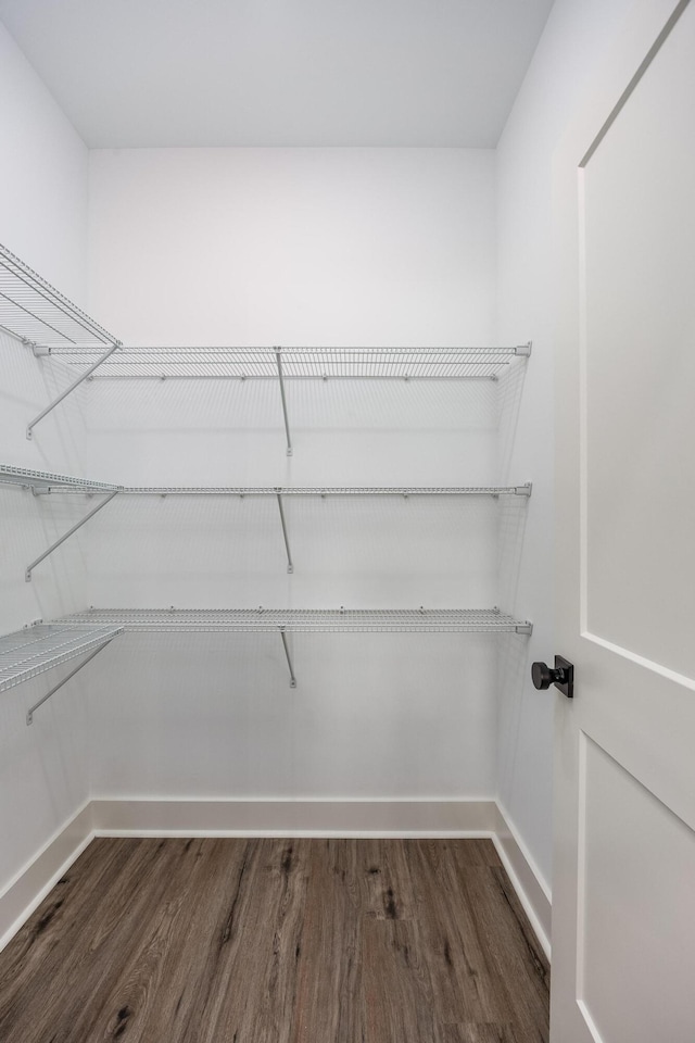 walk in closet featuring wood finished floors