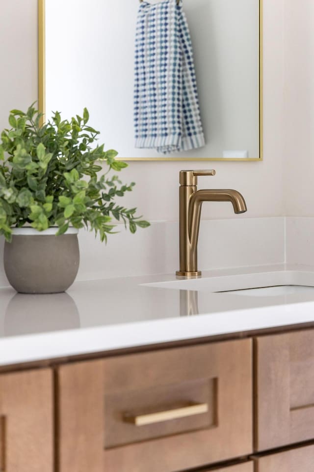 interior details with a sink