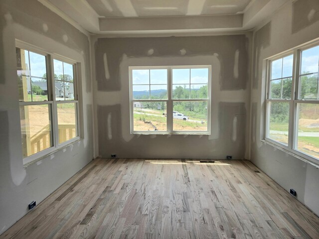 spare room with wood finished floors