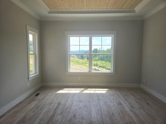 10634 Flicker Way Unit 119, Apison, TN 37302 - spare room with wood ceiling, wood finished floors, and a tray ceiling
