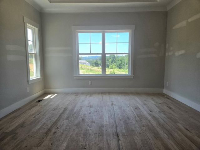 10634 Flicker Way Unit 119, Apison, TN 37302 - unfurnished room featuring plenty of natural light, wood finished floors, and crown molding