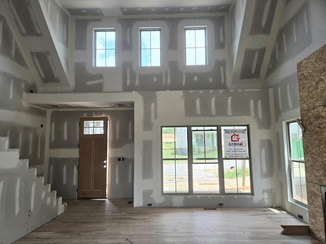 entrance foyer featuring a high ceiling and wood finished floors