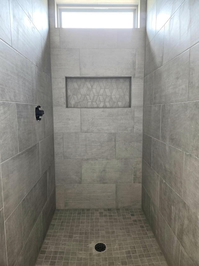 10630 Flicker Way Unit 120, Apison, TN 37302 - bathroom with a tile shower and plenty of natural light