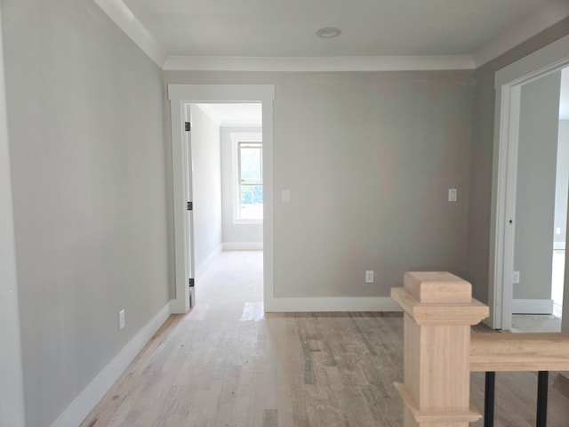 10630 Flicker Way Unit 120, Apison, TN 37302 - spare room with light wood-style floors and ornamental molding