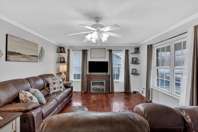 living area featuring ceiling fan, a textured ceiling, ornamental molding, and wood finished floors