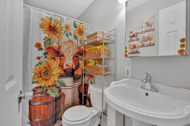 bathroom with toilet and a sink