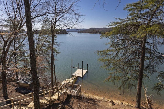 dock area with a water view