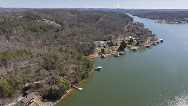 bird's eye view with a water view and a wooded view