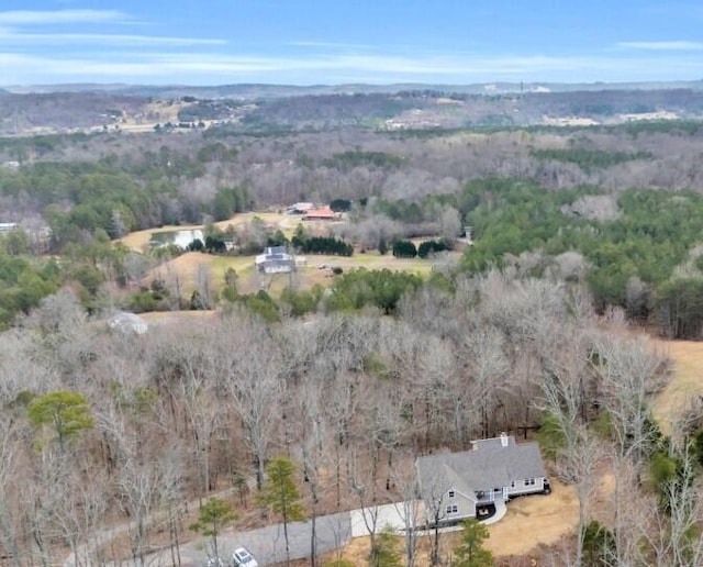 aerial view with a view of trees