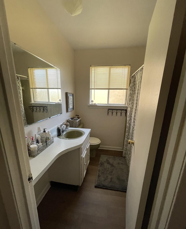 bathroom with wood finished floors, vanity, toilet, and curtained shower