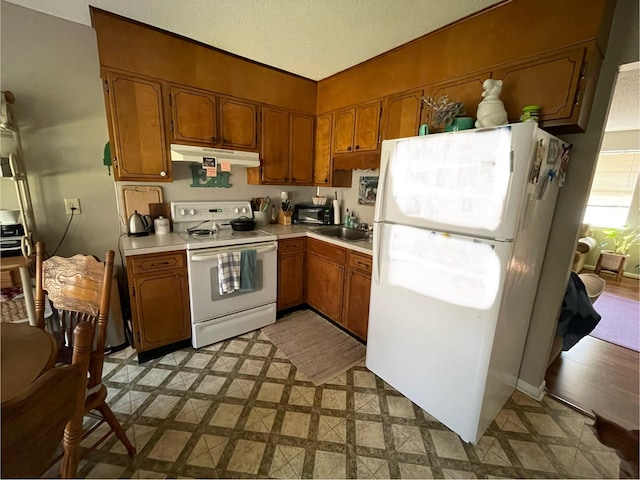 kitchen with under cabinet range hood, white appliances, a sink, light countertops, and brown cabinets