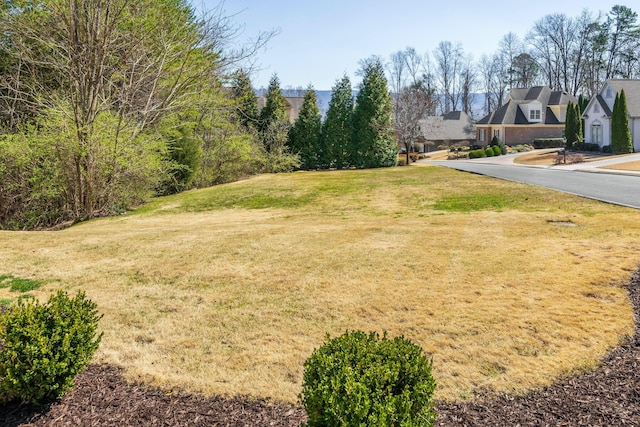 view of yard featuring a residential view