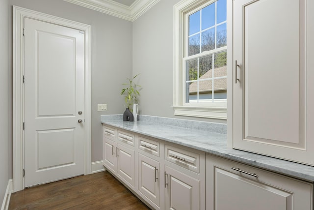 interior space featuring crown molding and dark wood-type flooring