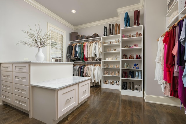 walk in closet featuring dark wood-style floors