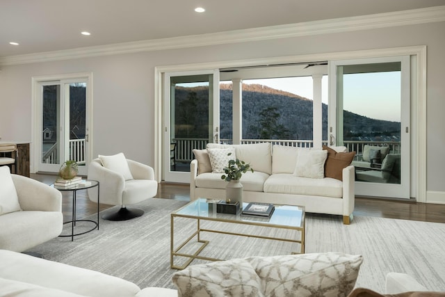 living room featuring a mountain view, wood finished floors, and ornamental molding