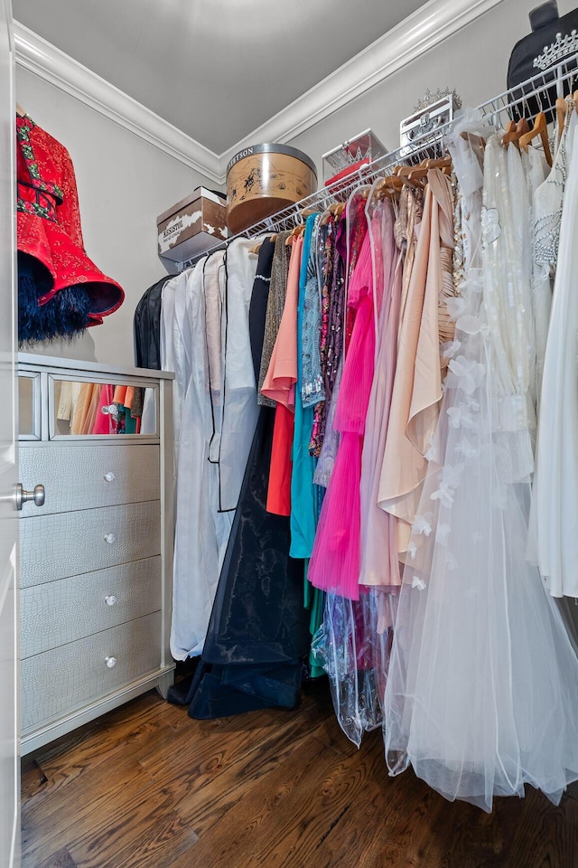 walk in closet featuring wood finished floors