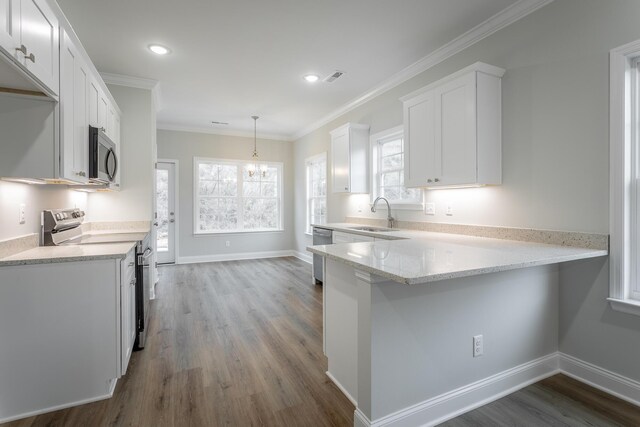 kitchen featuring dark wood-style flooring, a sink, white cabinets, appliances with stainless steel finishes, and crown molding