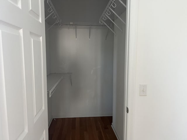 walk in closet with dark wood finished floors