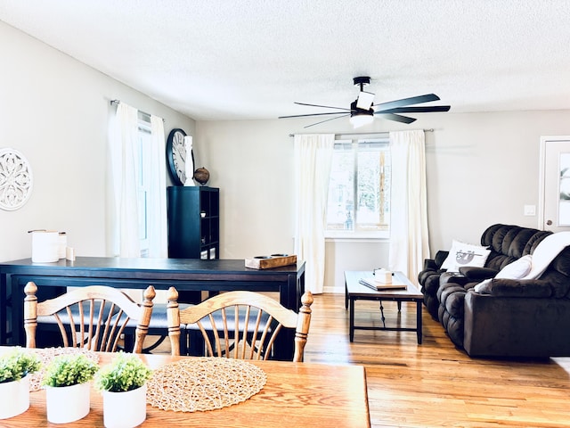 dining room featuring light wood finished floors, ceiling fan, and a textured ceiling