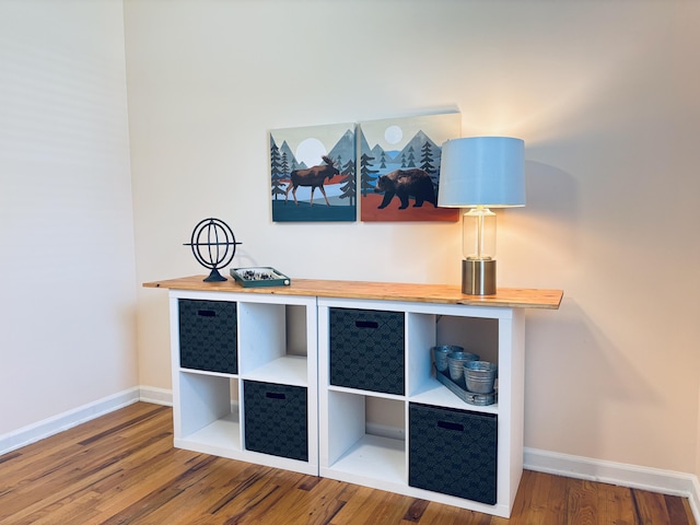 details with baseboards and wood finished floors