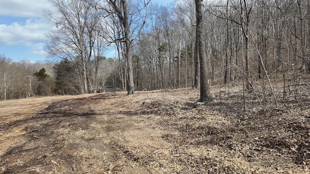 Listing photo 3 for 8ACRES Hass Rd, Jasper TN 37347