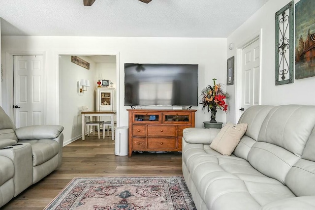 living area with baseboards, dark wood finished floors, and a textured ceiling