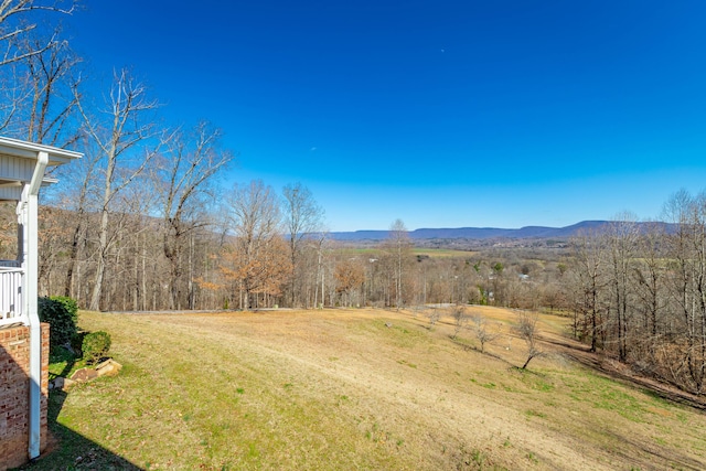 view of yard featuring a wooded view