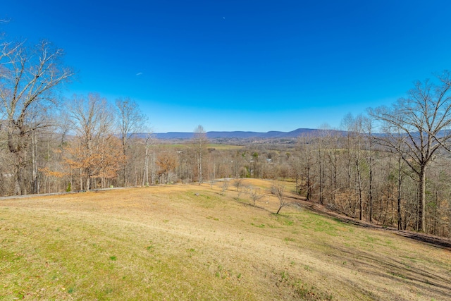 property view of mountains with a wooded view