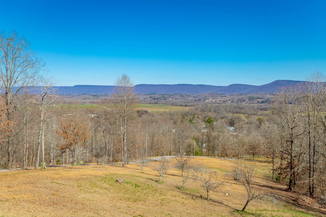 view of mountain feature