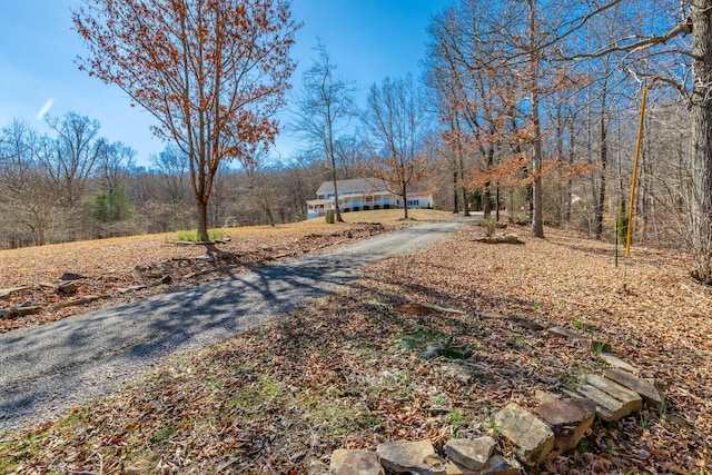 view of road featuring a wooded view