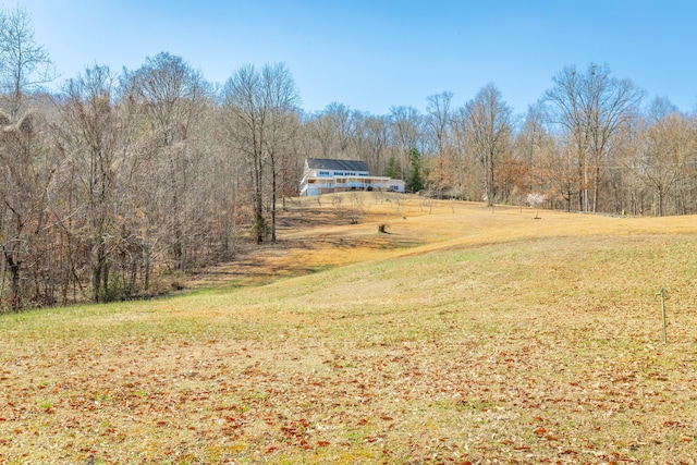 view of yard featuring a rural view