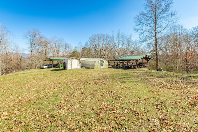 view of yard with a storage shed and an outbuilding