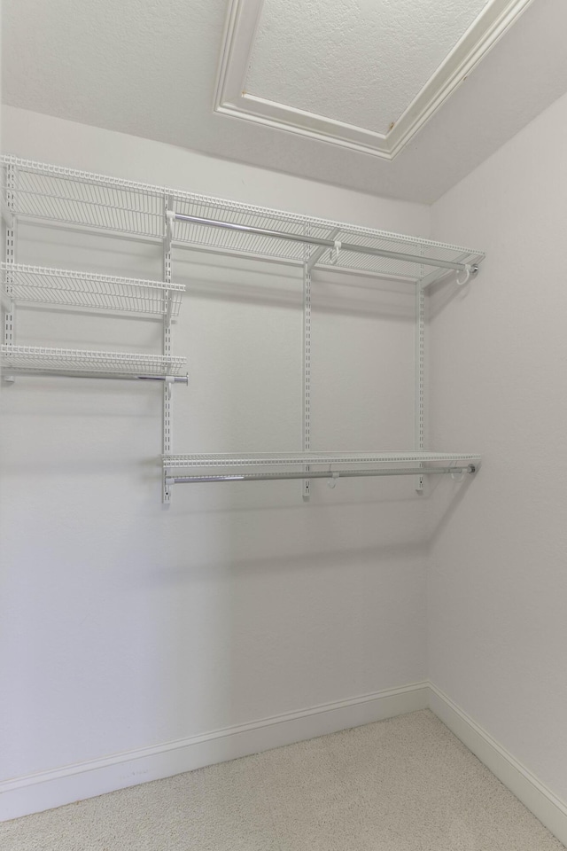 view of spacious closet