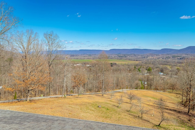 property view of mountains