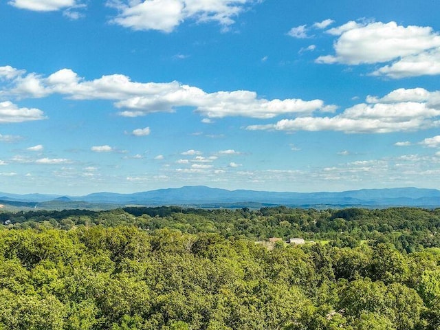 view of mountain feature with a wooded view