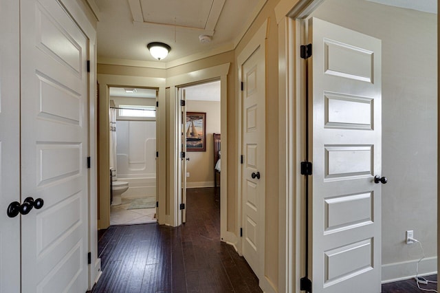 hall with baseboards, dark wood-type flooring, and attic access