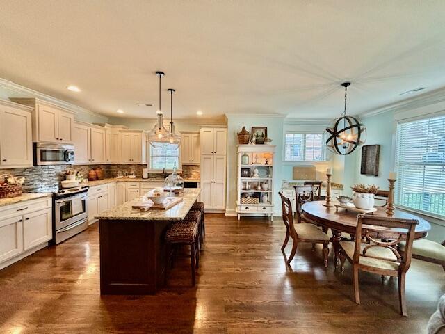 kitchen with plenty of natural light, dark wood-style floors, tasteful backsplash, and stainless steel appliances