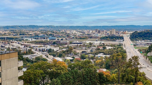 bird's eye view with a city view