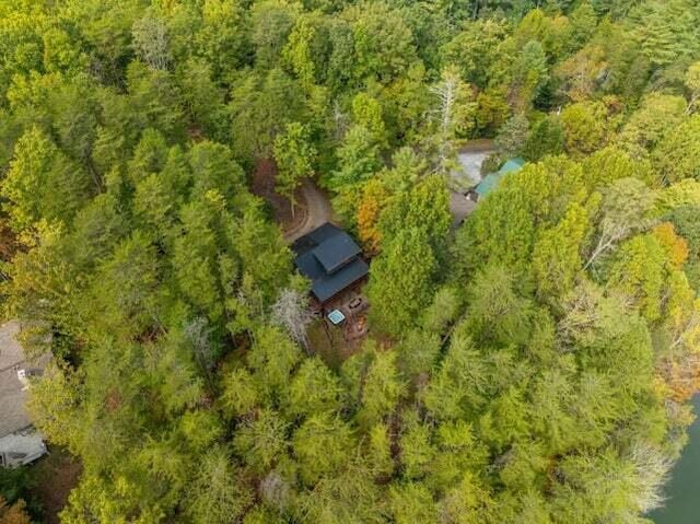 drone / aerial view with a forest view