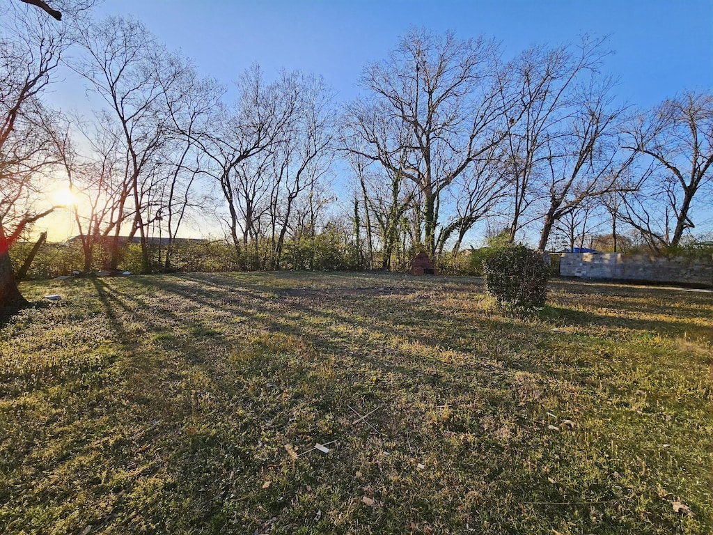 view of yard at dusk