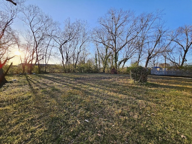 view of yard at dusk