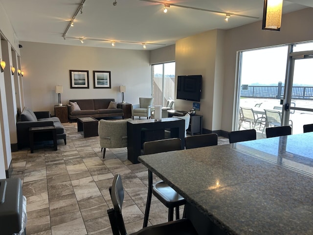 dining space with track lighting