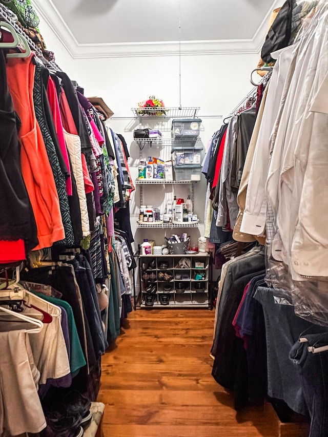 walk in closet with wood finished floors