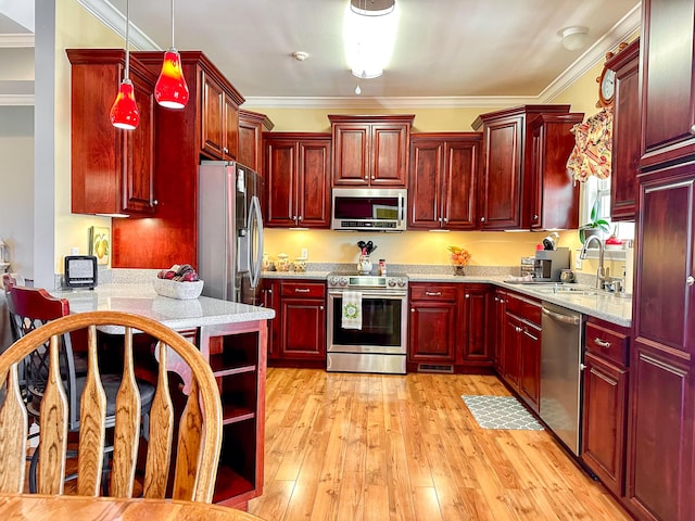 kitchen with light wood finished floors, a sink, dark brown cabinets, appliances with stainless steel finishes, and crown molding