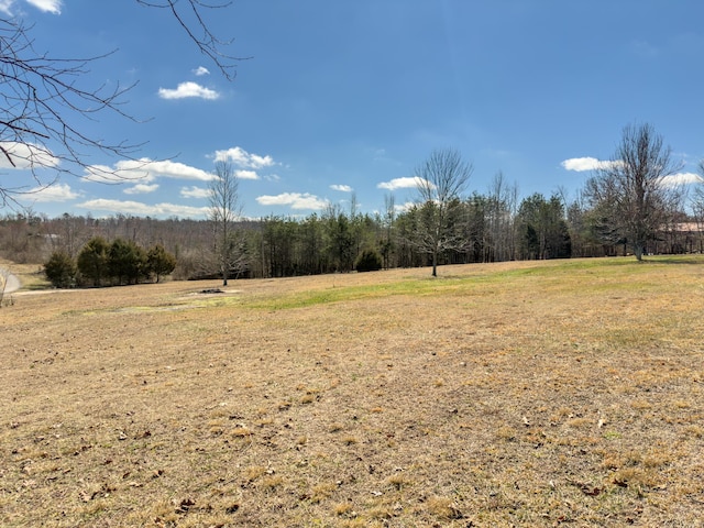 view of local wilderness featuring a rural view and a wooded view