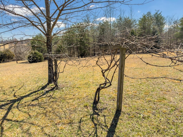 view of nature