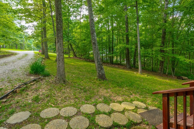 71 Miller Cove Cir, Signal Mountain, TN 37377 - photo 39