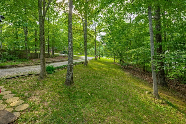 71 Miller Cove Cir, Signal Mountain, TN 37377 - photo 40