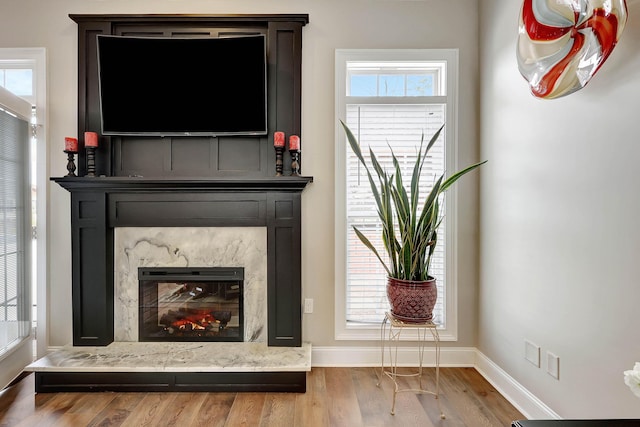 room details with a premium fireplace, baseboards, and wood finished floors