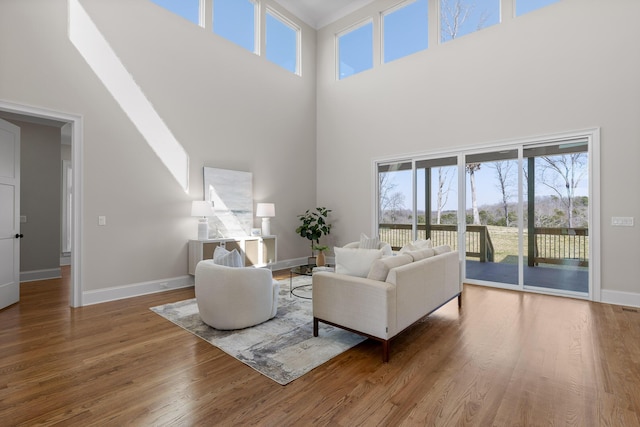 1825 River Breeze Dr, Soddy Daisy, TN 37379 - living room featuring a high ceiling, wood finished floors, baseboards, and ornamental molding